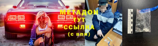 PSILOCYBIN Корсаков