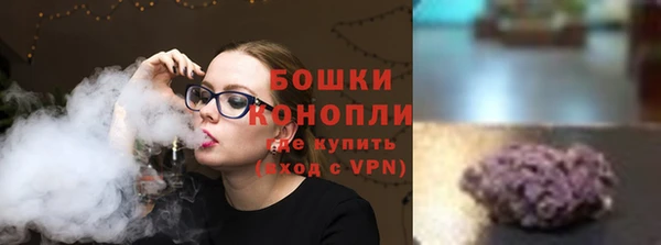 прущие грибы Балабаново