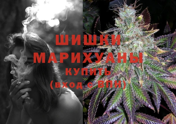 прущие грибы Балабаново