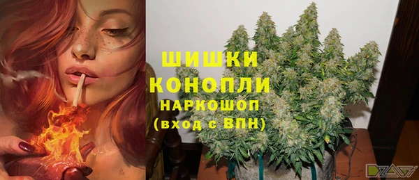 ПСИЛОЦИБИНОВЫЕ ГРИБЫ Балахна