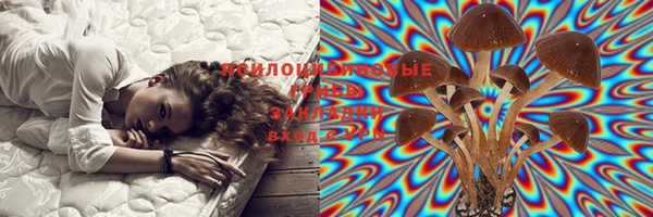 ПСИЛОЦИБИНОВЫЕ ГРИБЫ Балахна