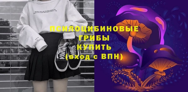 прущие грибы Балабаново