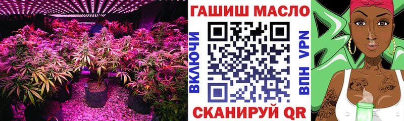 ТГК Wax  Ликино-Дулёво 